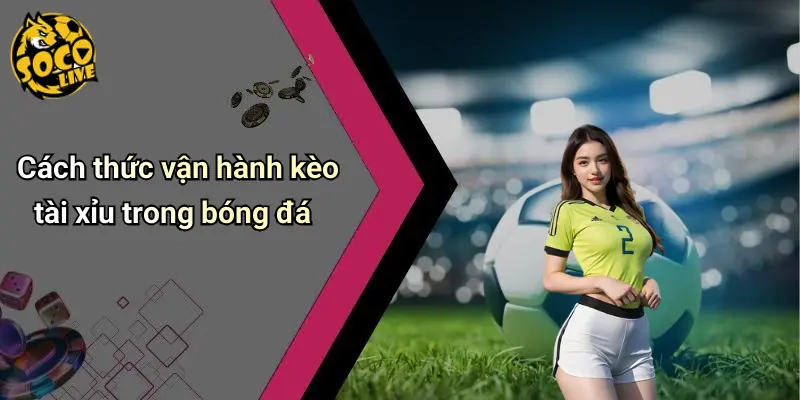Tài Xỉu Trong Bóng Đá: Cược Hấp Dẫn Hàng Đầu Socolive 1 Tài Xỉu Trong Bóng Đá