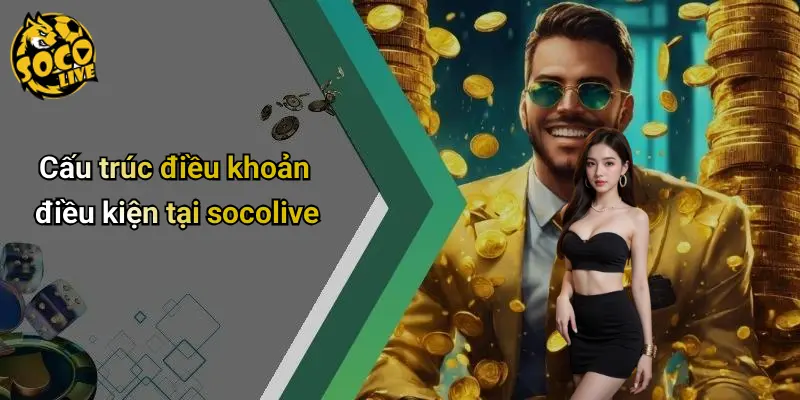 Điều Khoản Điều Kiện 2 Điều Khoản Điều Kiện