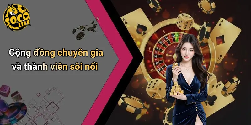Dự Đoán 4 Dự Đoán