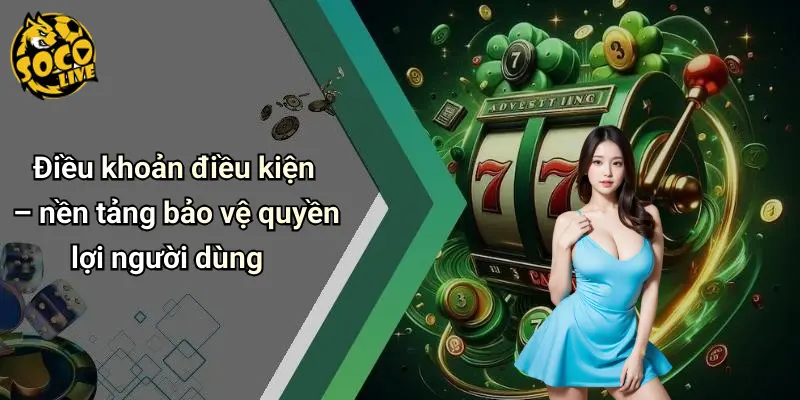 Điều Khoản Điều Kiện 1 Điều Khoản Điều Kiện