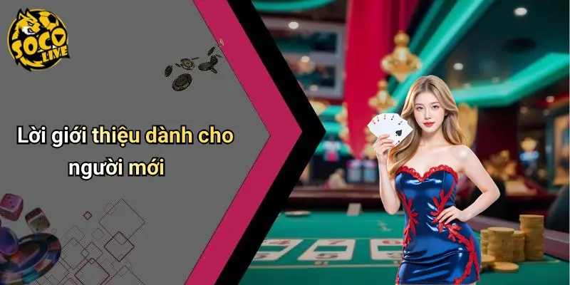 Giới Thiệu 4 Giới Thiệu