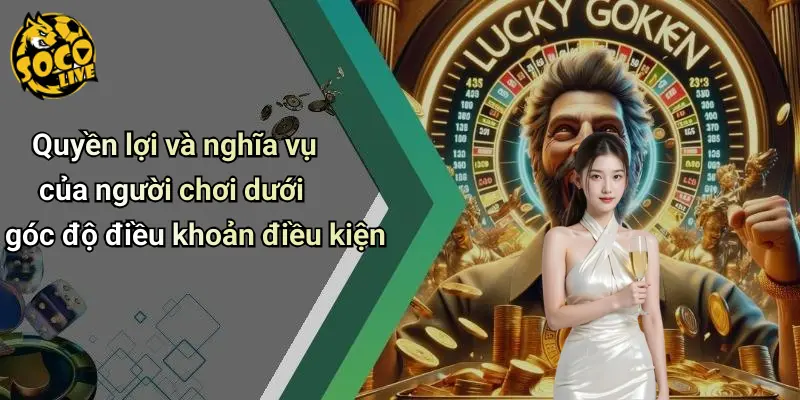 Điều Khoản Điều Kiện 3 Điều Khoản Điều Kiện