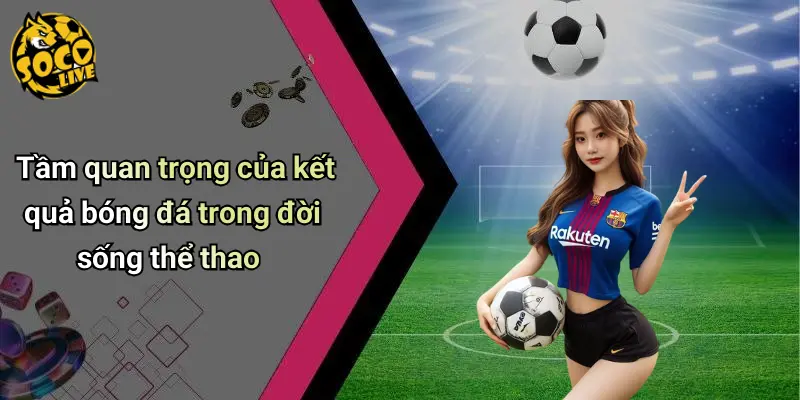 Kết Quả Bóng Đá 33 Kết Quả Bóng Đá