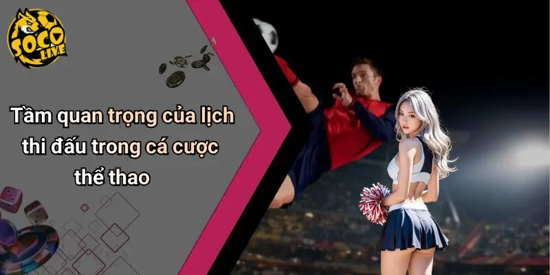 Lịch thi đấu 31 Lịch Thi Đấu
