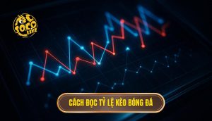 Cách đọc tỷ lệ kèo bóng đá