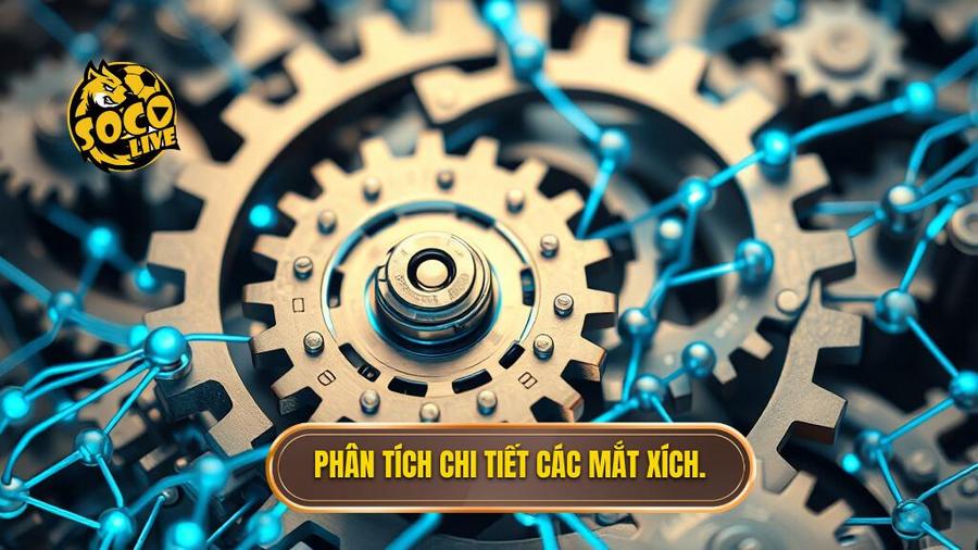 Phân tích chi tiết các mắt xích.