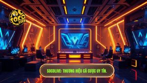 Socolive có uy tín không? Đánh giá chi tiết từ góc nhìn chuyên gia